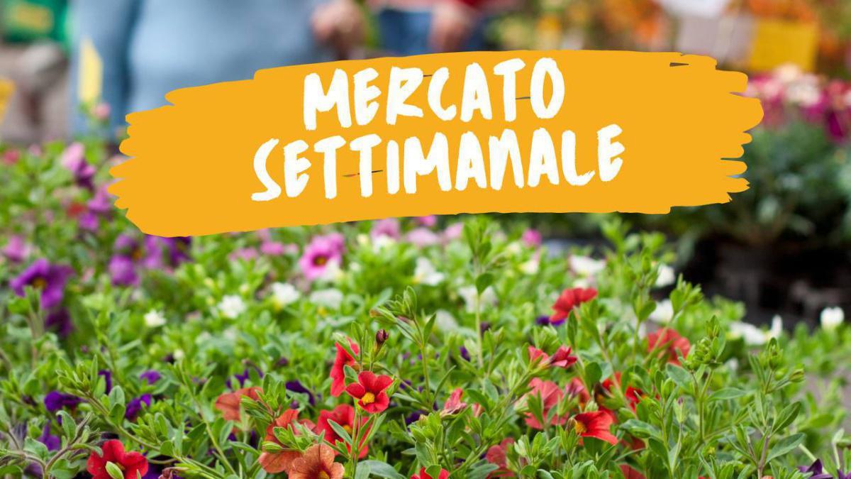 Mercato Settimanale