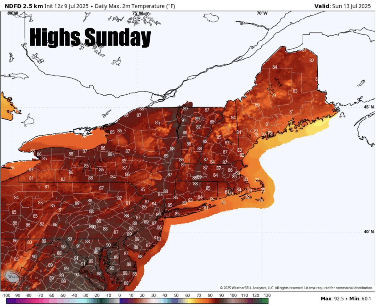 What to expect for the rest of the week 
