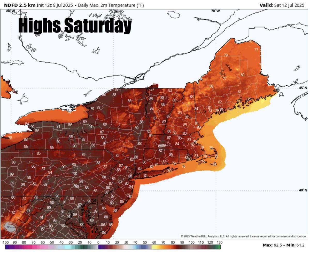 What to expect for the rest of the week 