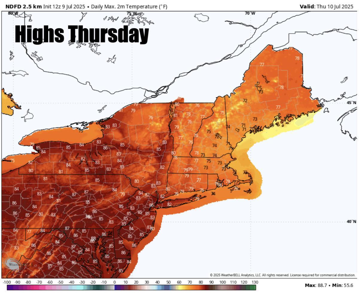 What to expect for the rest of the week 