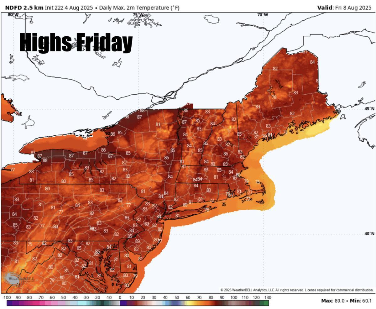 What to expect for the rest of the week 