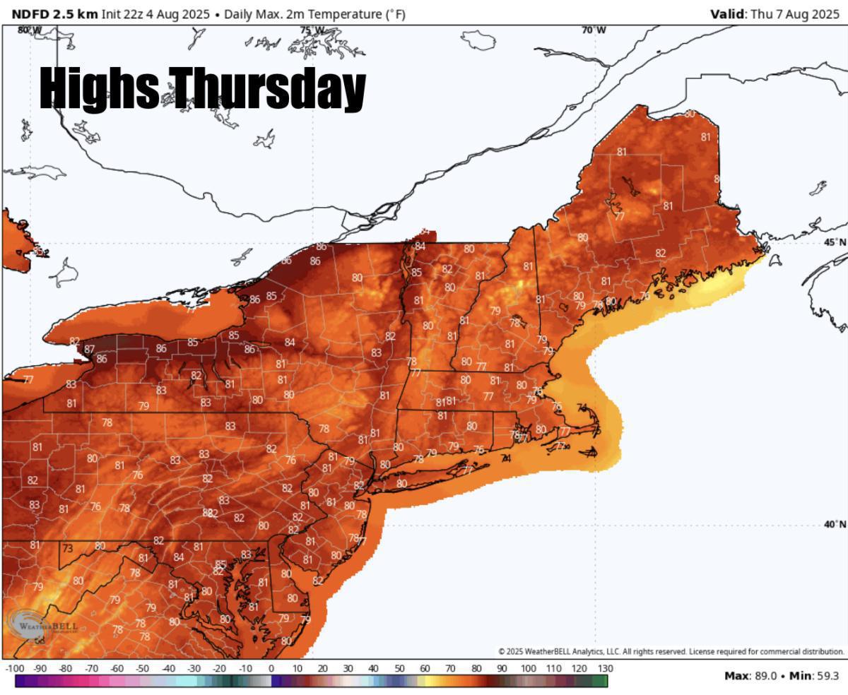 What to expect for the rest of the week 