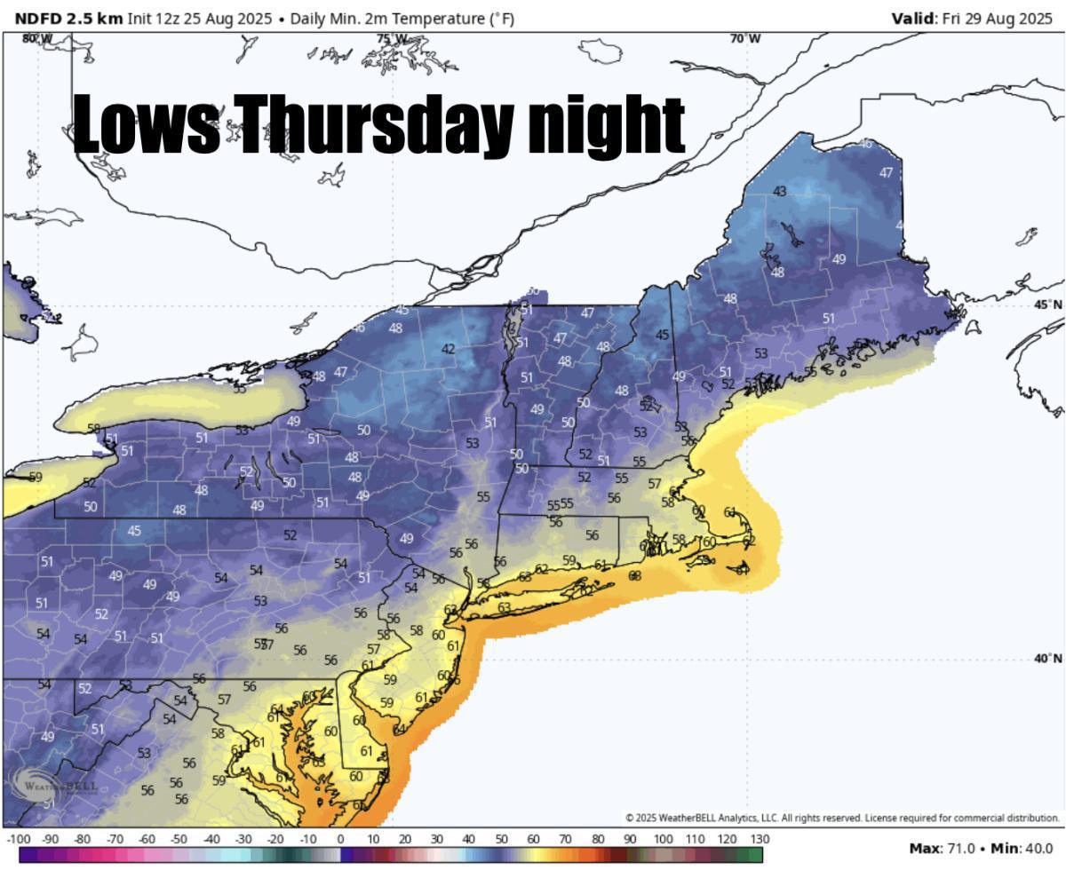 What to expect this week 