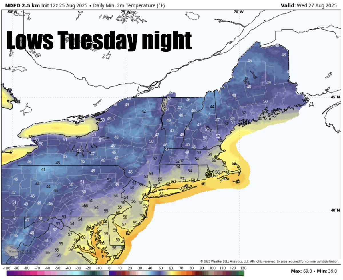What to expect this week 