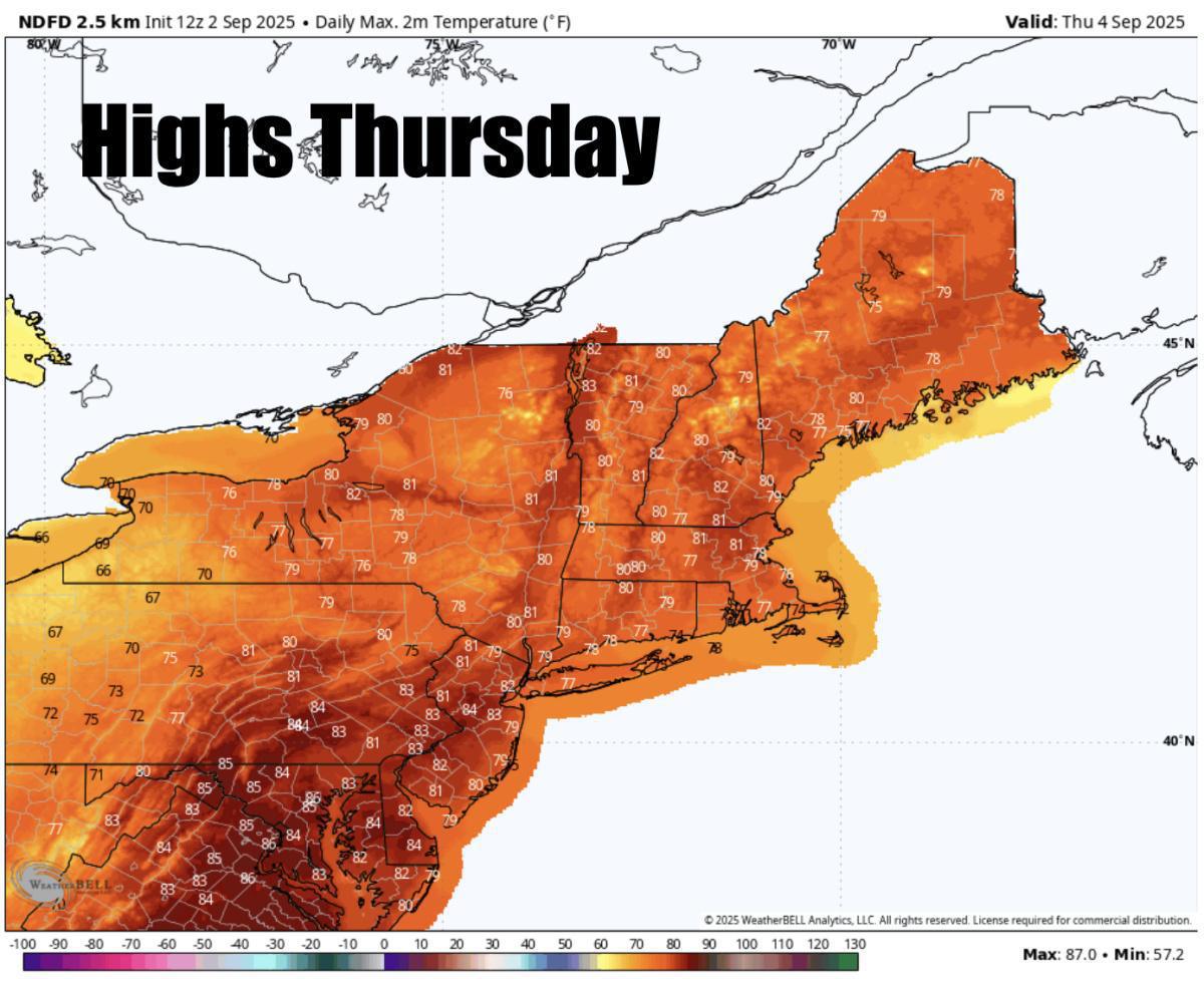 What to expect for the rest of the week 