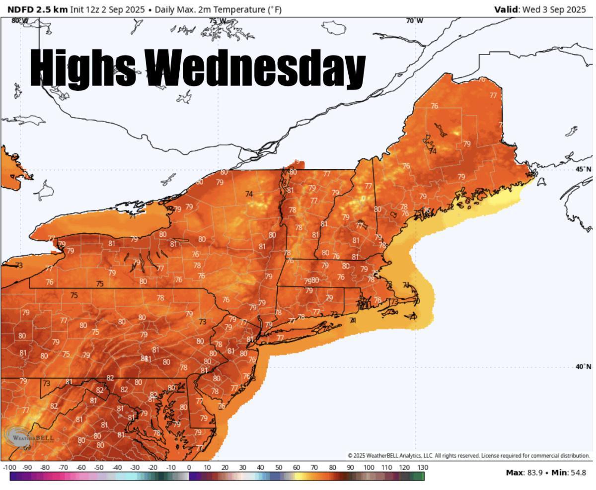 What to expect for the rest of the week 