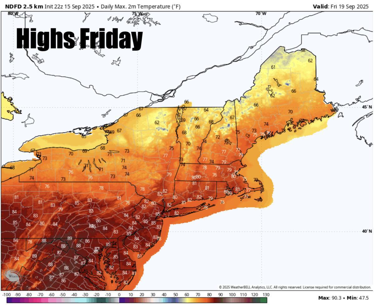 What to expect for the rest of the week 
