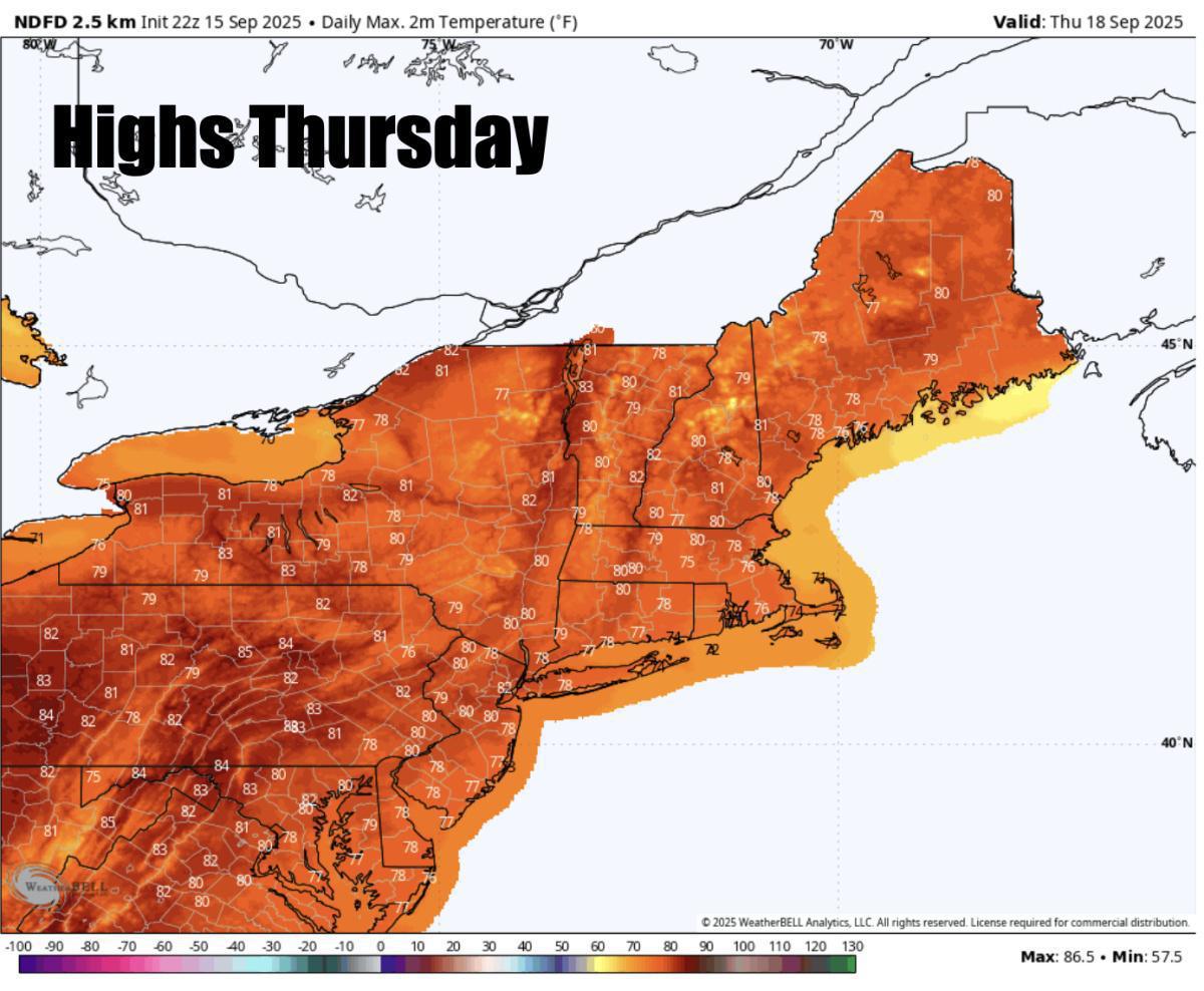 What to expect for the rest of the week 