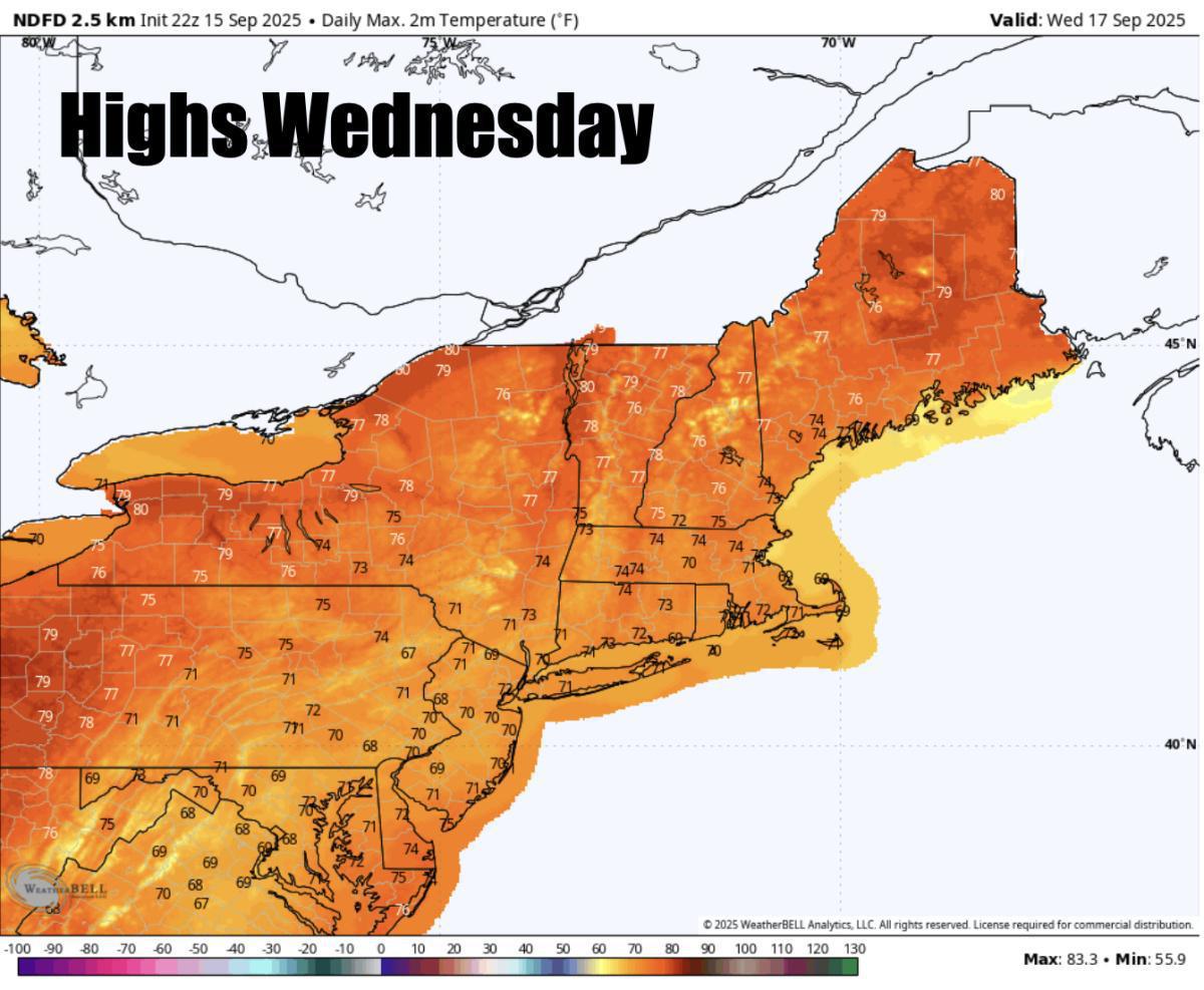 What to expect for the rest of the week 