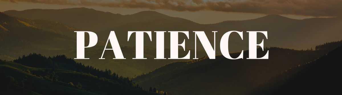 Choose a Growth Point & Select a Book of the Bible to Study Choose a Growth Point & Select a Book of the Bible to Study