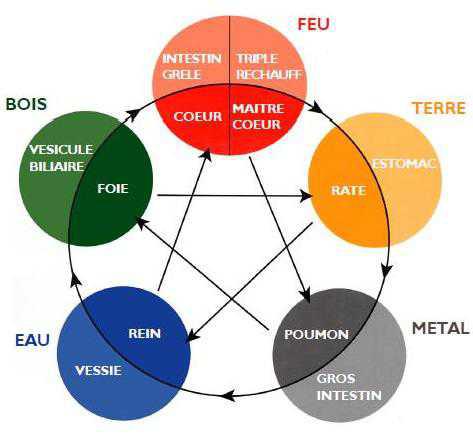 Santé par le Toucher (Touch for Health)