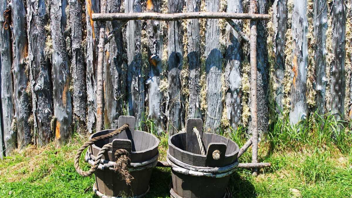 Devenir conseillère en huiles essentielles
