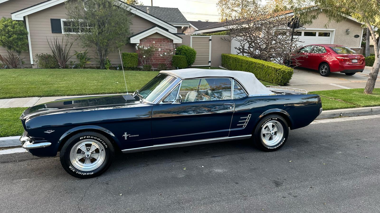 WhatsApp Image 2025-03-11 at 12.04.42 PM