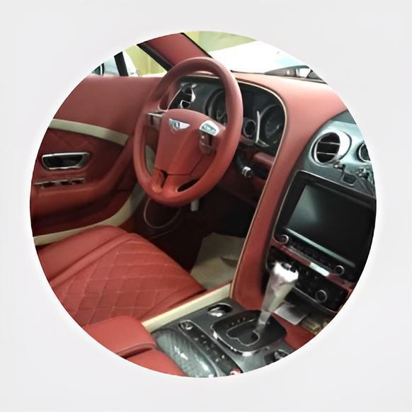 CAR LEALHER / FABRIC PROTECTION