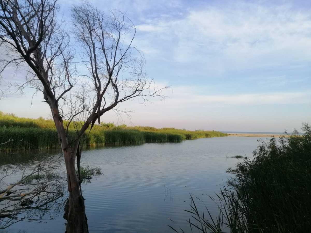 Foce del Crocchio - Mouth of the Crocchio
