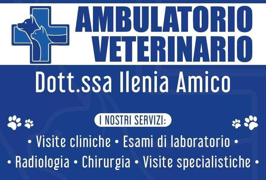 Ambulatorio Veterinario Dott.ssa Ilenia Amico