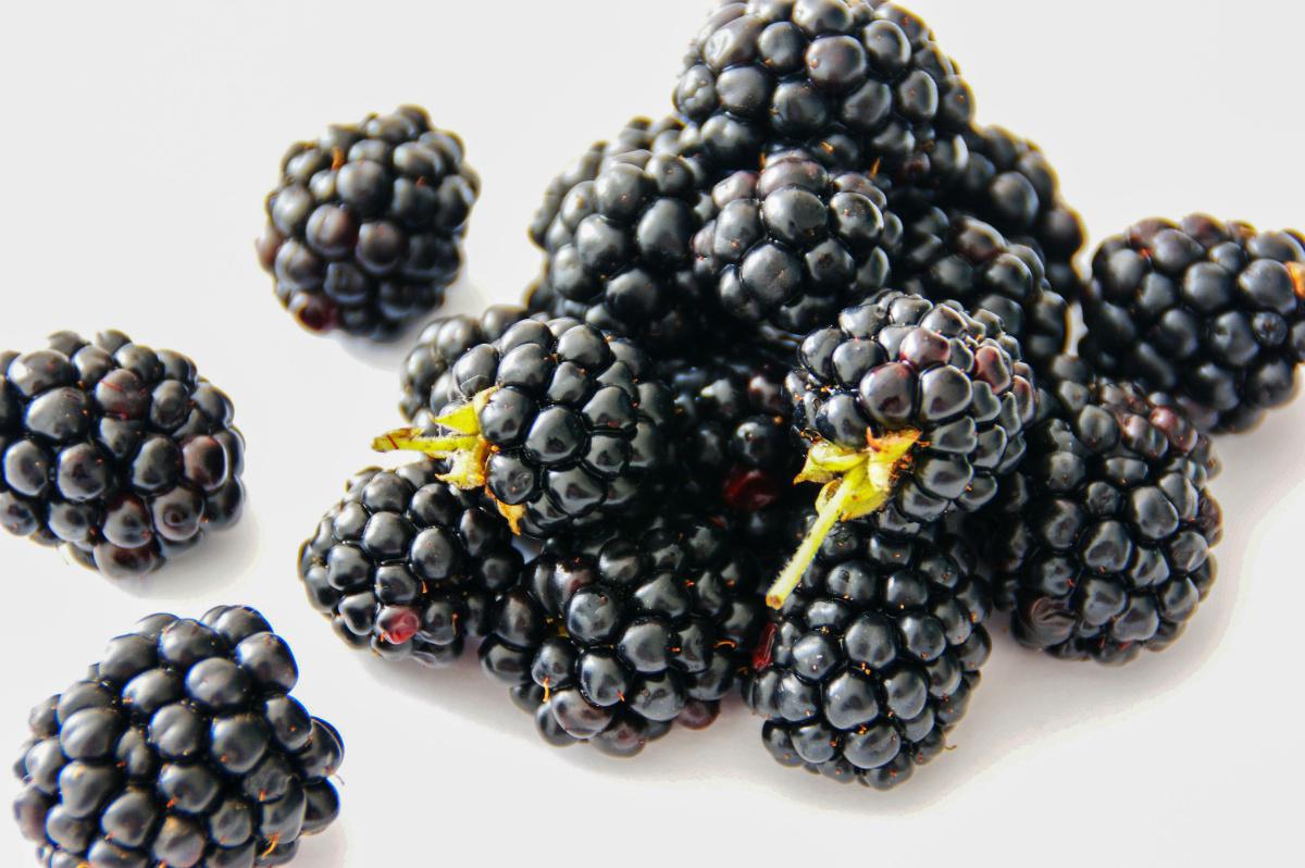 MORAS