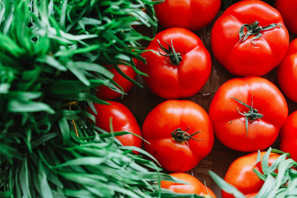 ¿El Tomate es una Fruta o una Verdura?