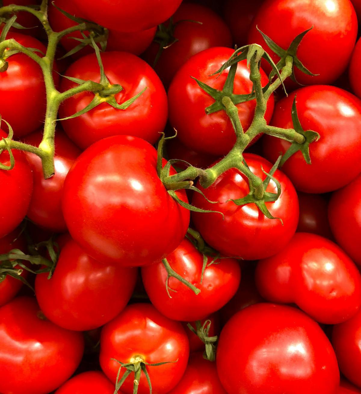 TOMATES DE LA SIERRA 