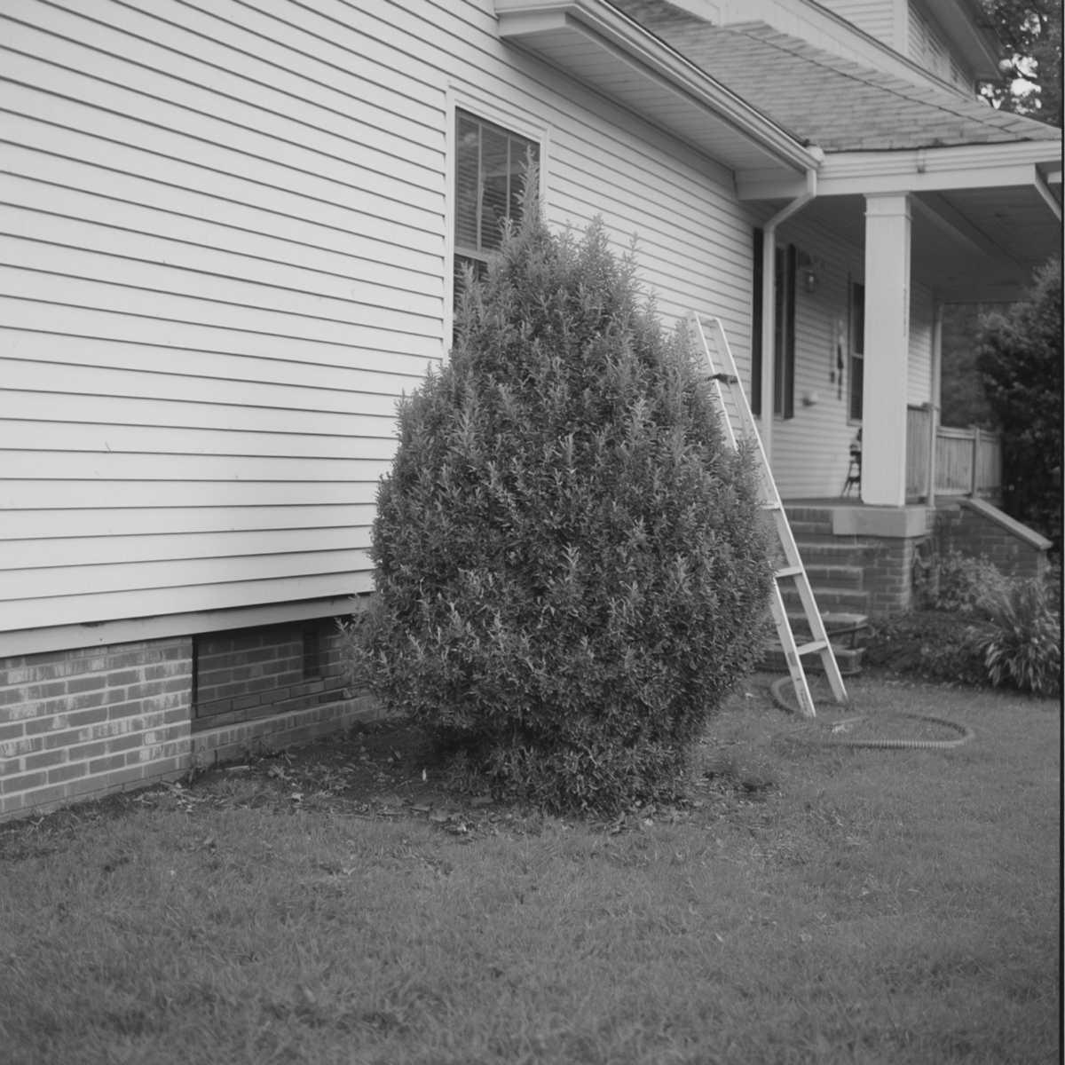 Guide 2 — The Maintenance Year Guide 2 — The Maintenance Year