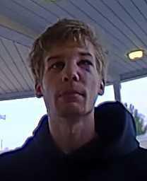 Spring Township: Discharging a Firearm Spring Township: Discharging a Firearm