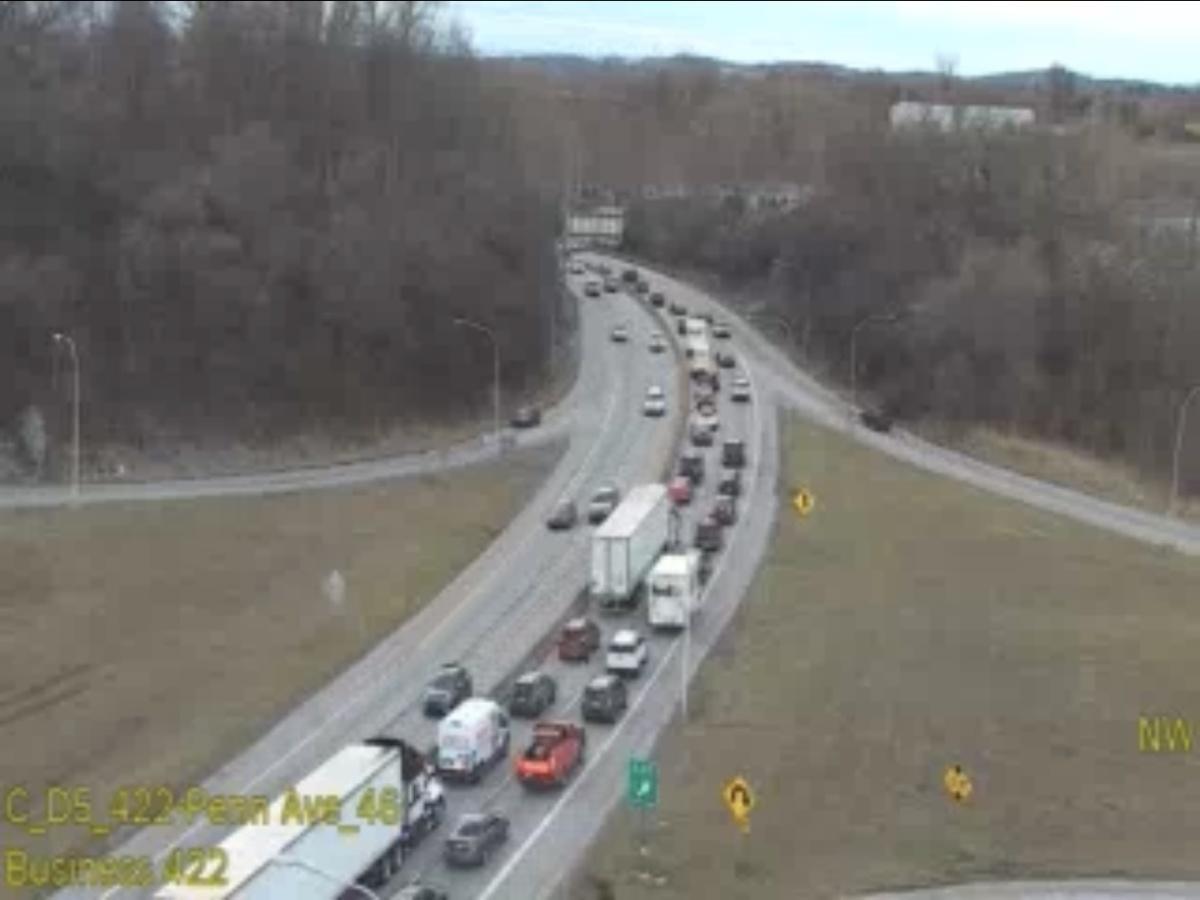 West Reading: Tree Down on 422 West