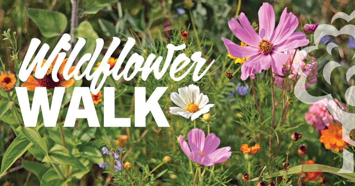 Wildflower Walk