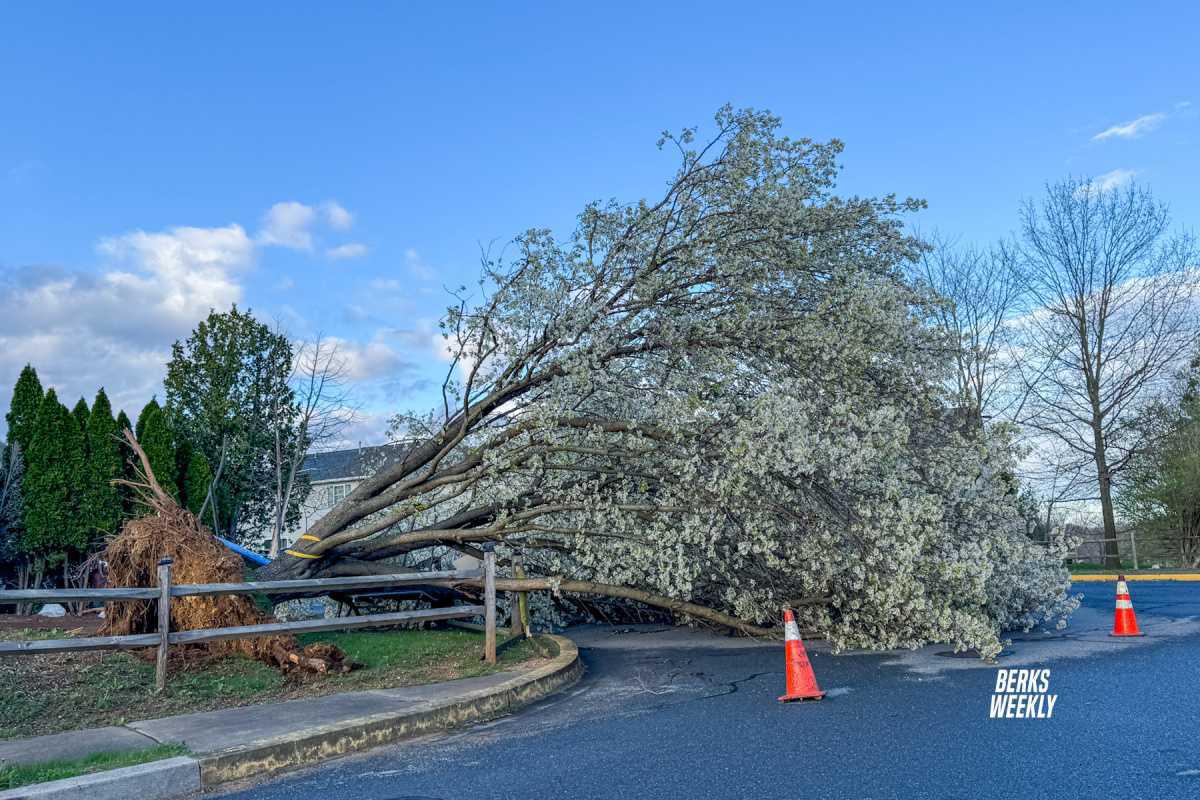 Storm Damage Photo Gallery Storm Damage Photo Gallery