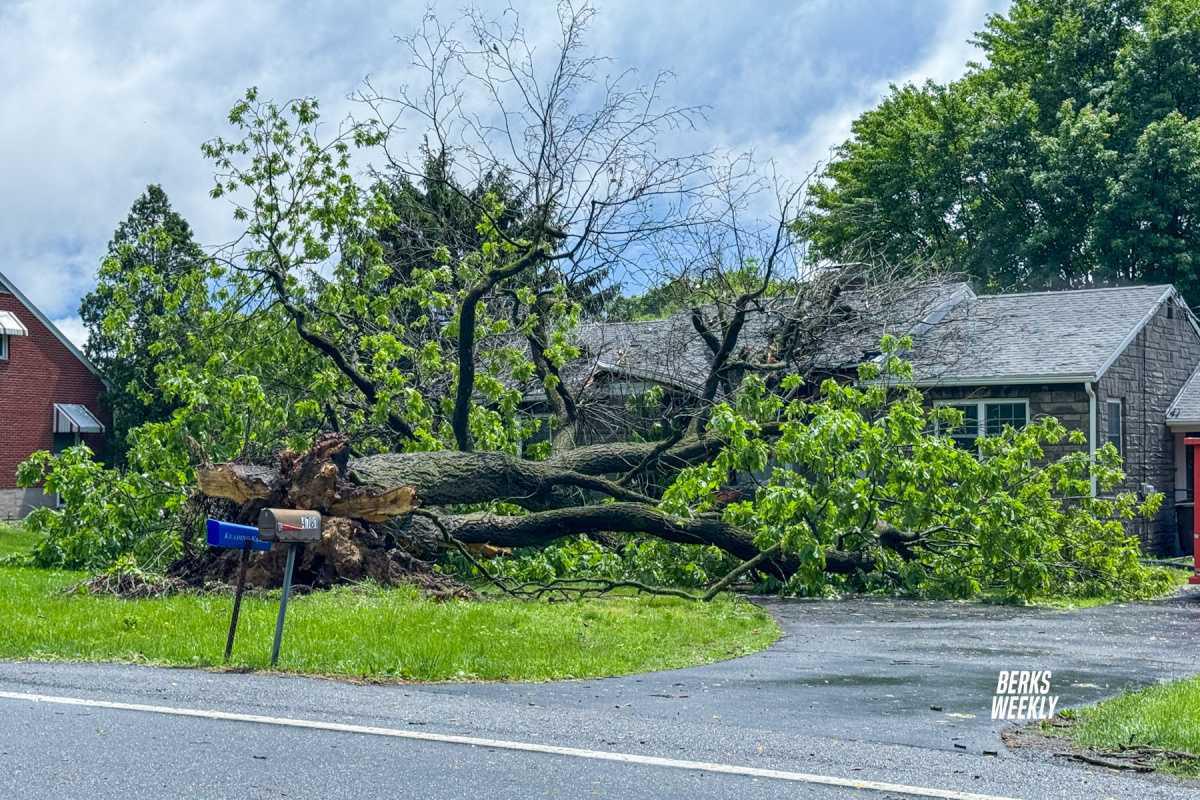 Exeter Township: Tree Falls on House During Severe Thunderstorm, One Injured