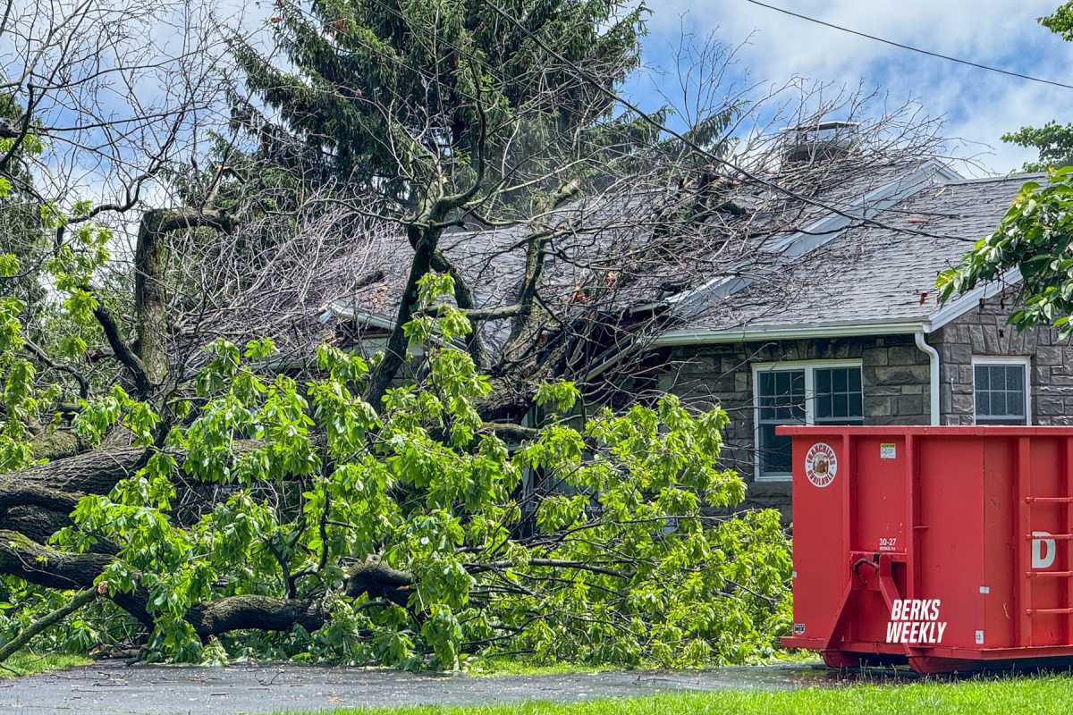 Exeter Township: Tree Falls on House During Severe Thunderstorm, One Injured