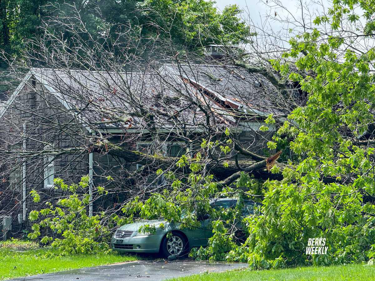 Exeter Township: Tree Falls on House During Severe Thunderstorm, One Injured