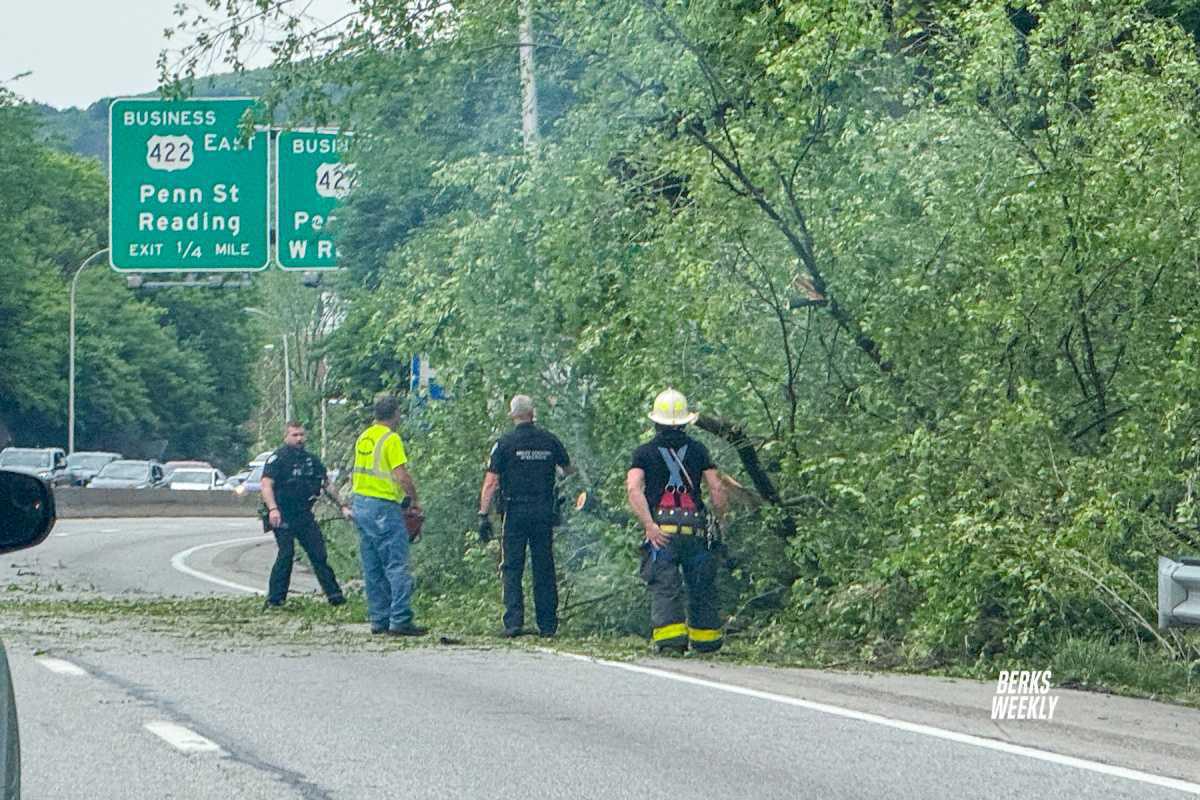 West Reading: Tree Down on 422 East West Reading: Tree Down on 422 East