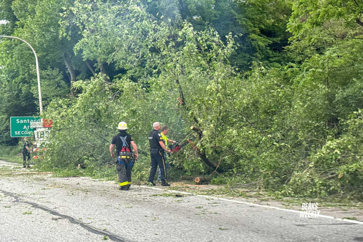West Reading: Tree Down on 422 East West Reading: Tree Down on 422 East