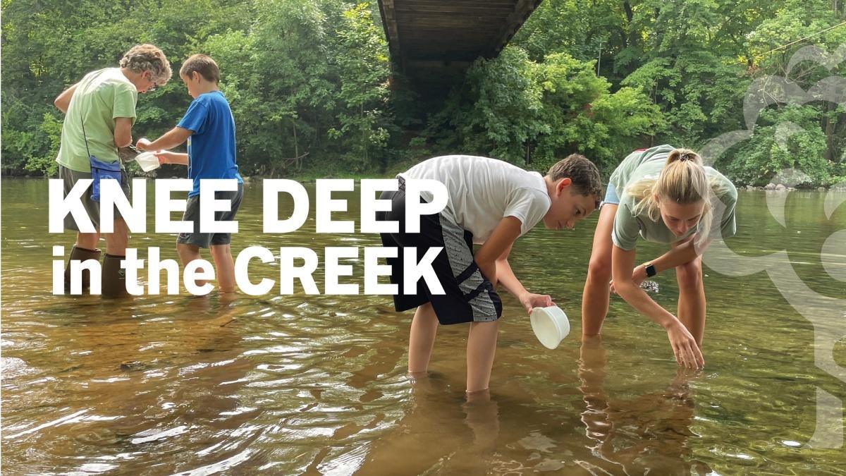 Knee Deep in the Creek