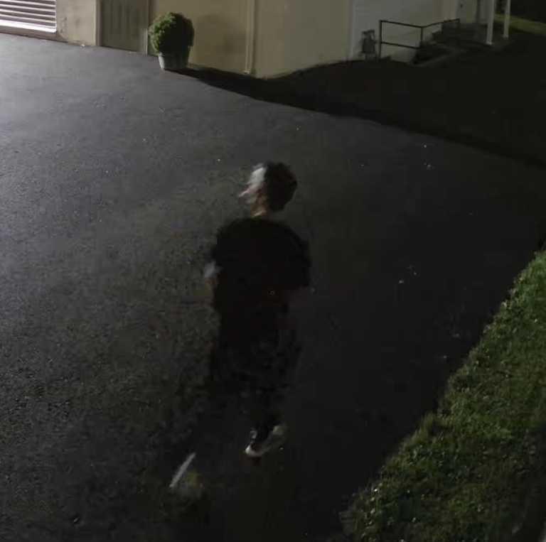 Caernarvon Twp: Attempt to ID Prowler 