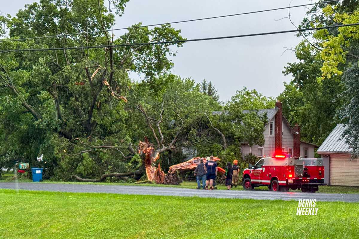 Centre Township: Tree on House