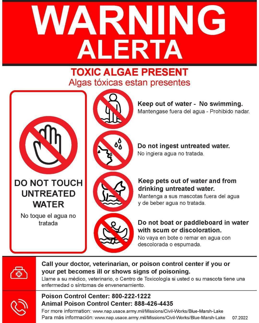 Swim beach at Blue Marsh Lake closed due to harmful algal bloom Swim beach at Blue Marsh Lake closed due to harmful algal bloom