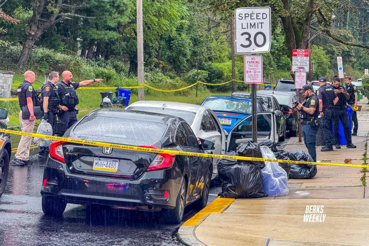 Reading: Shooting on Mineral Spring Road