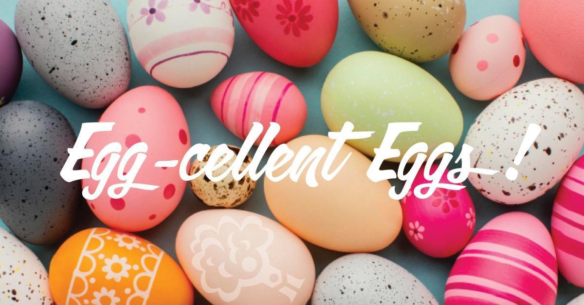 Egg-cellent Eggs! Egg-cellent Eggs!