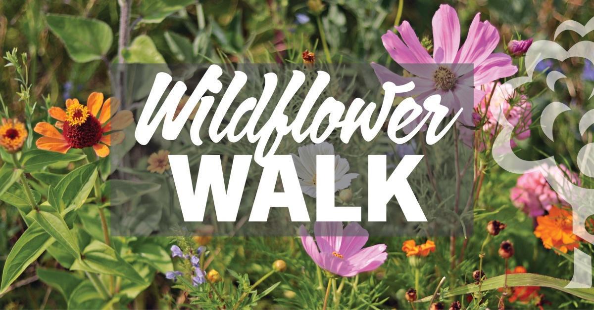 Wildflower Walk