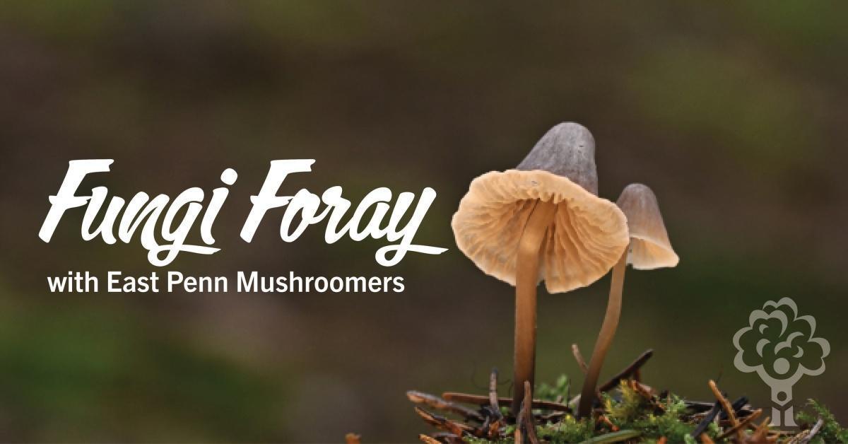 Spring Fungi Foray with East Penn Mushroomers