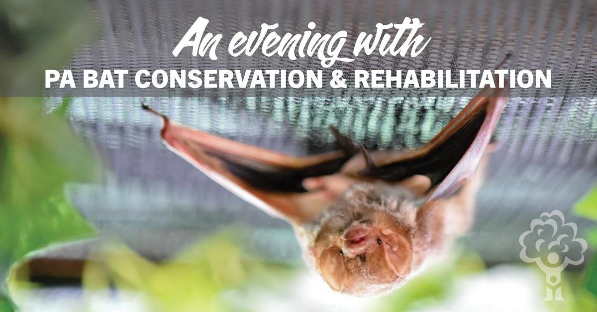 An Evening with PA Bat Conservation & Rehabilitation