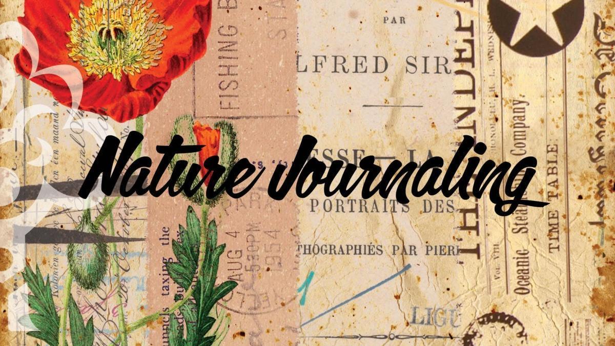 Nature Journaling