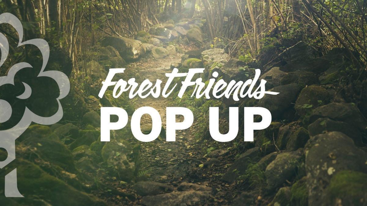 Forest Friends Pop-Up Forest Friends Pop-Up