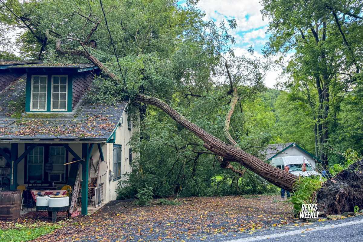 Cumru Township: Tree on a House
