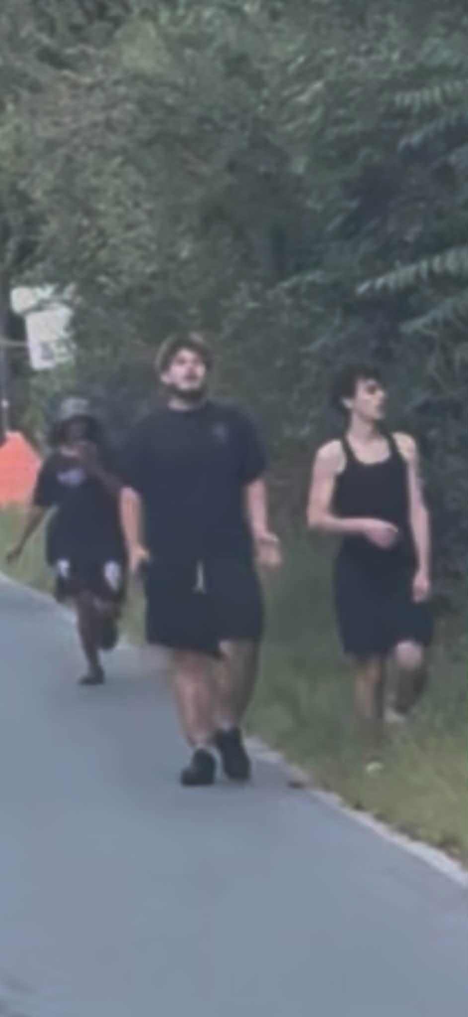 Lower Alsace Twp: Hit & Run Lower Alsace Twp: Hit & Run