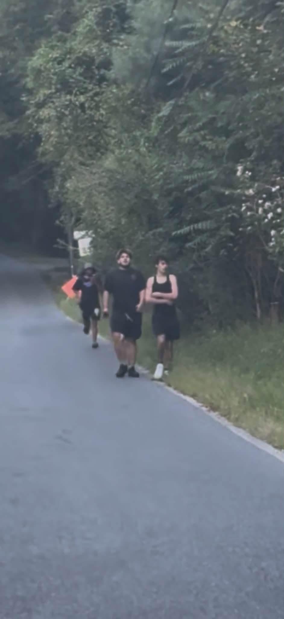 Lower Alsace Twp: Hit & Run