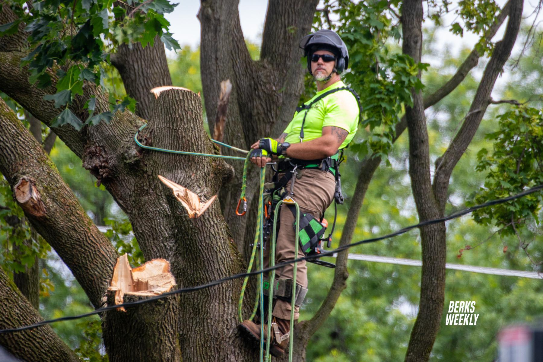 From dangerous heights to careful precision: Josh Spudeno reflects on life in the tree service business
