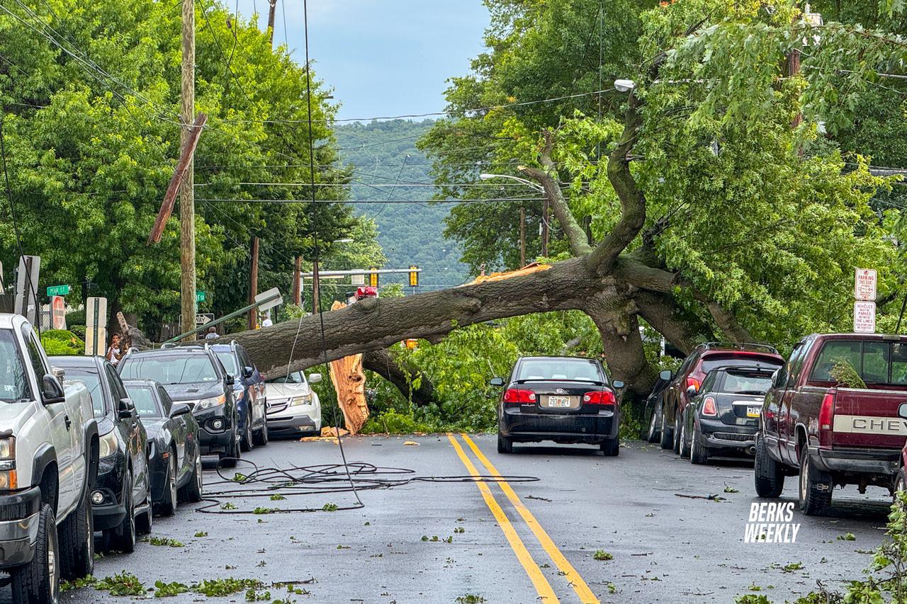 Storm Damage in Reading