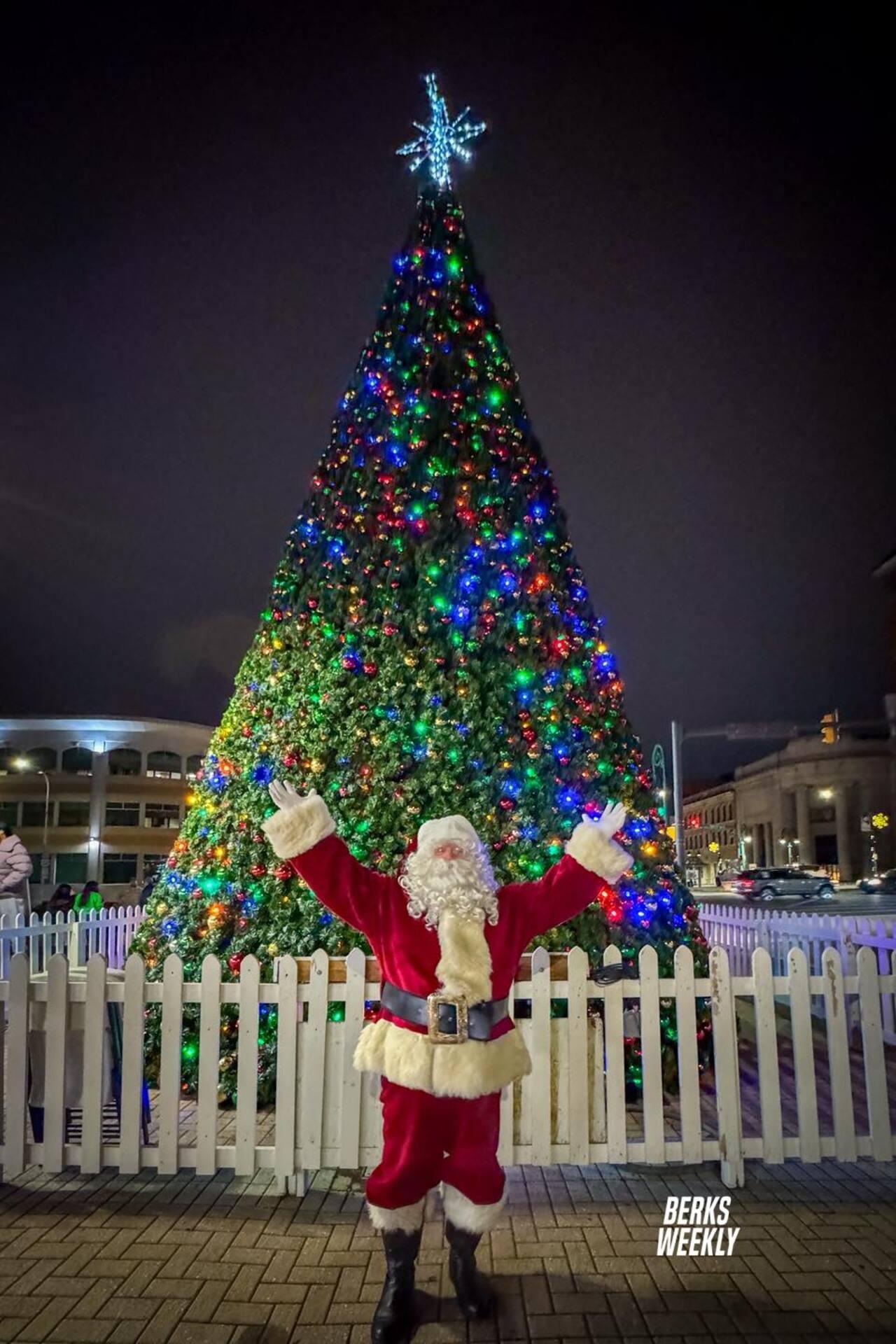 Reading Tree Lighting Ceremony